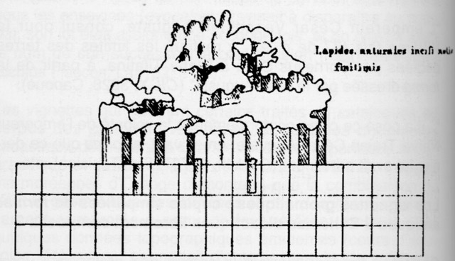 Arp lapides.jpg